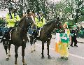 Garda Siochna - Mounted Patrol (rorszg)
