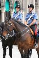 Carabinieri a Cavallo (Olaszorszg)